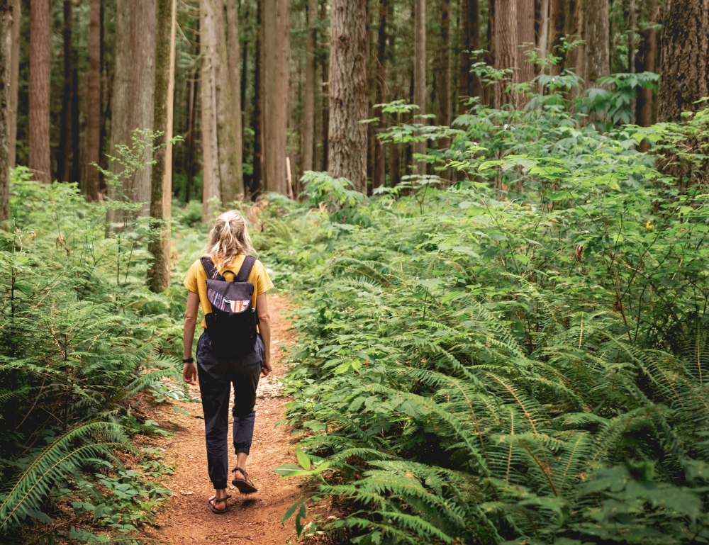 Women walking in the woods